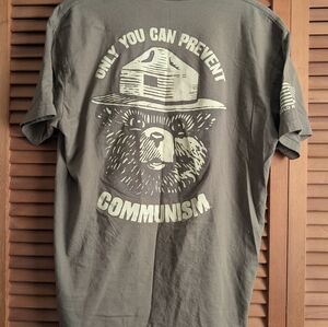 Men's Gray Graphic T-Shirt